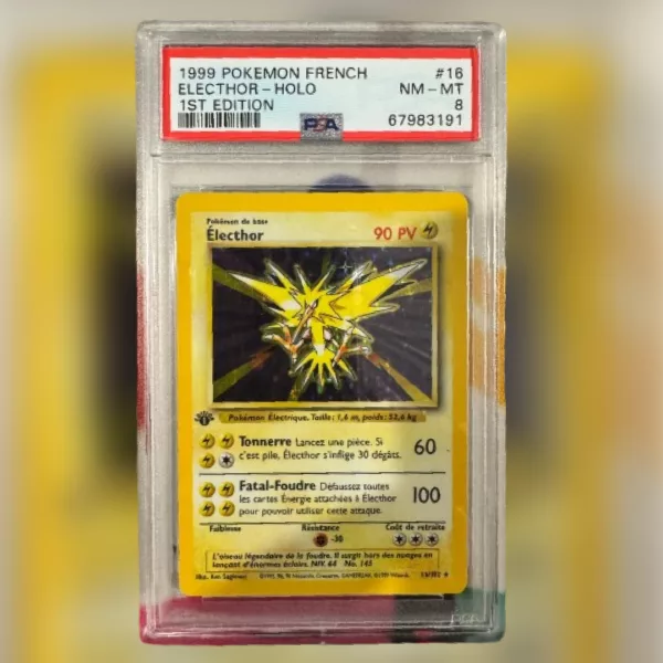 Electhor Holo SDB Edition 1 Français PSA 8